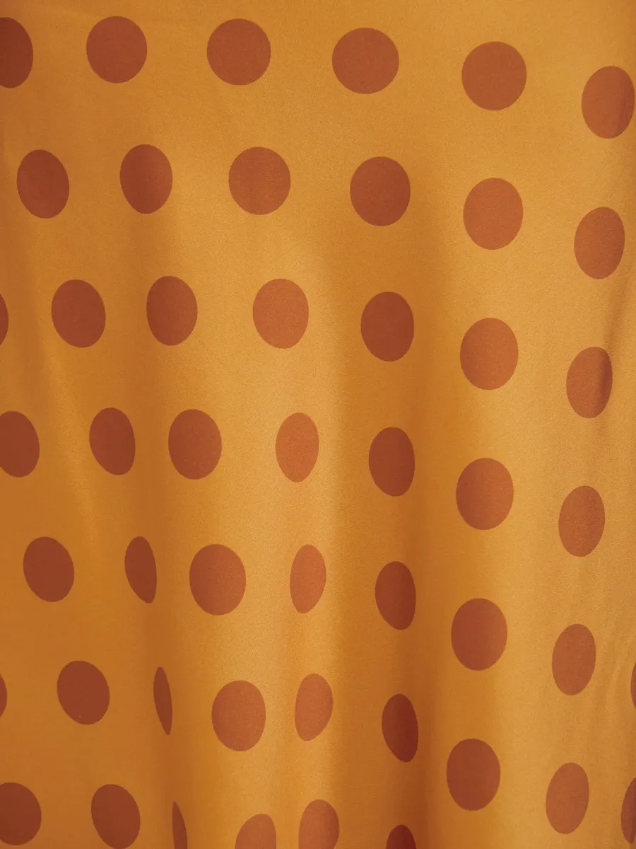 Aribella Silk Dress - Image 6