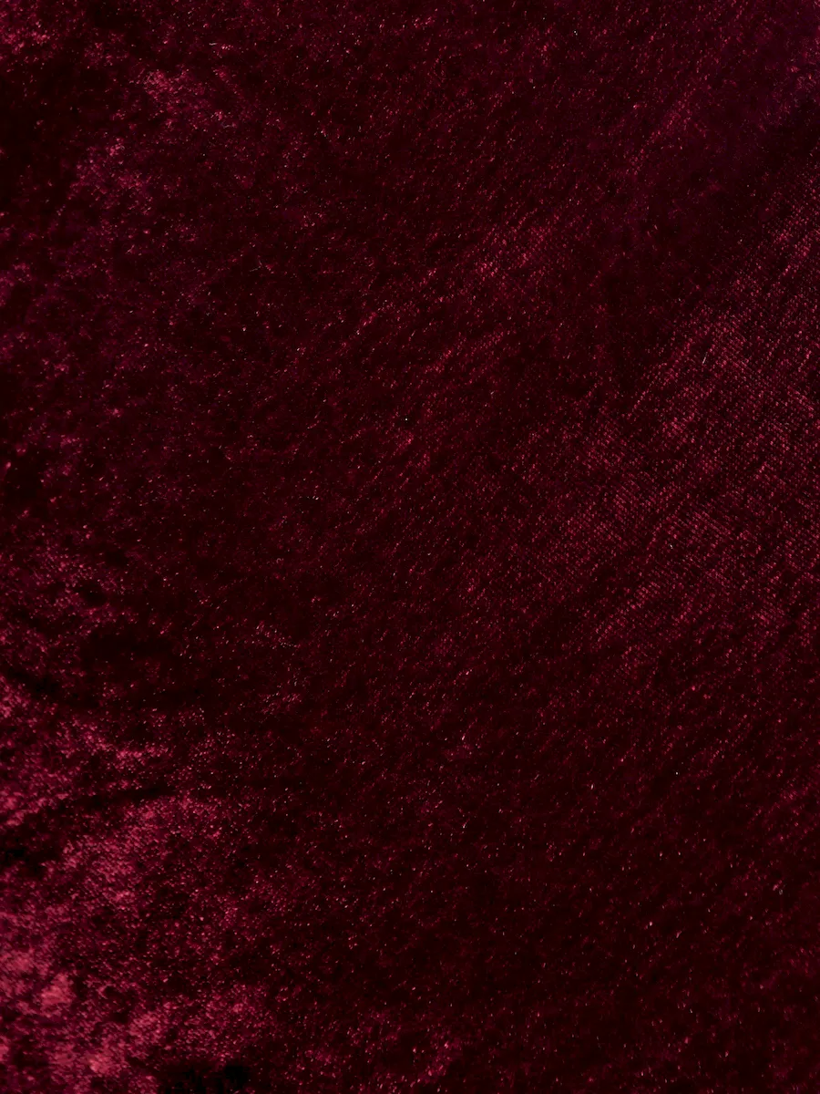 Rhia Velvet Dress - Image 6